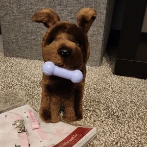 American Girl Chocolate Lab & Accessories